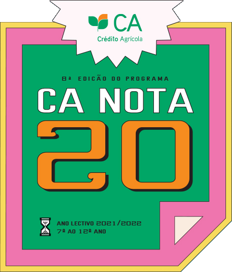CA Nota 20